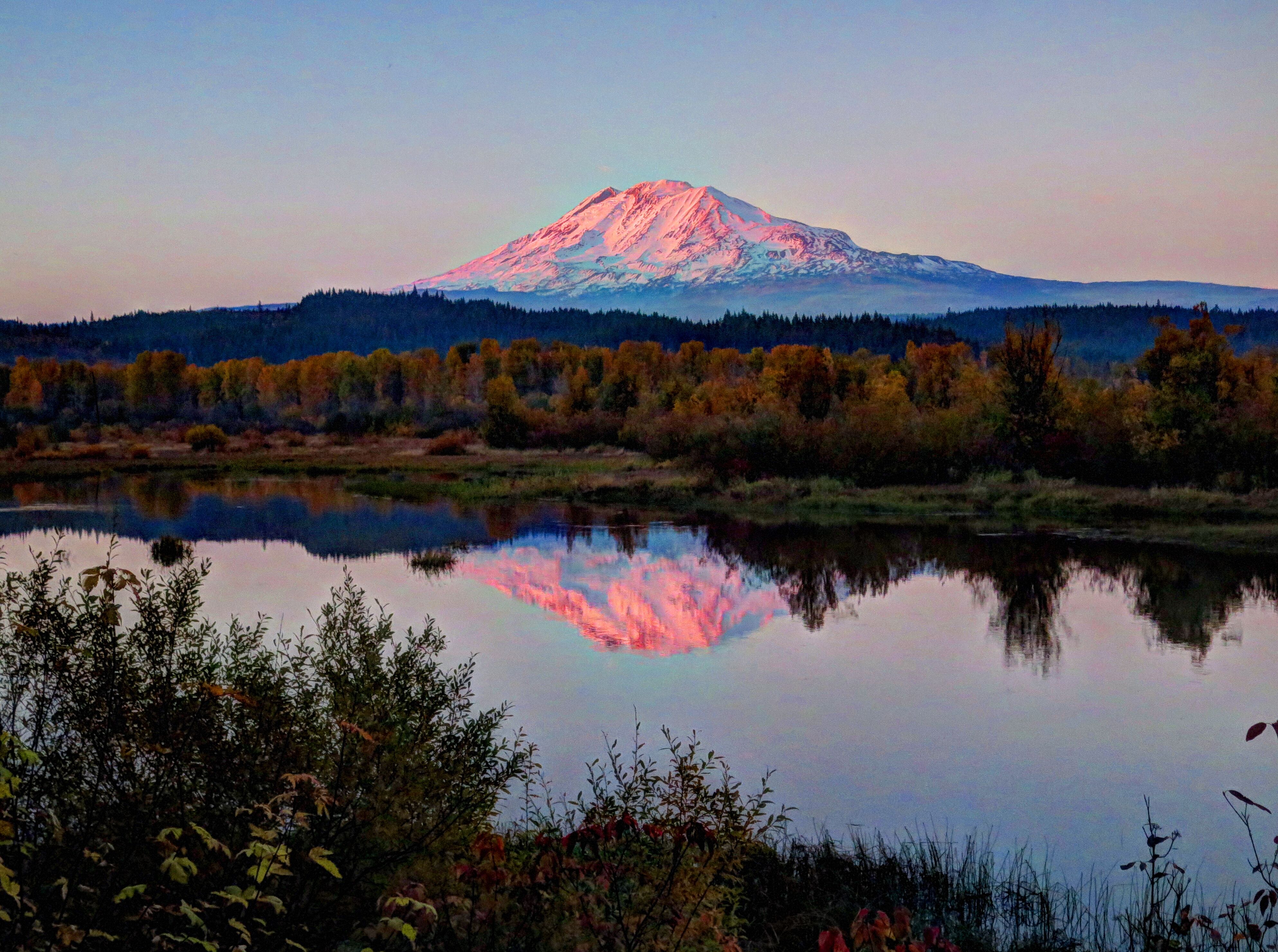 Trout Lake Cozy Cabins Image